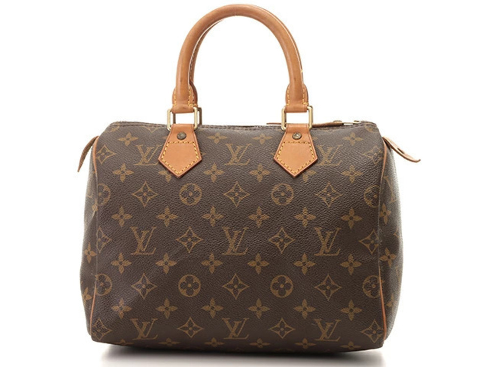 LOUIS VUITTON Speedy Monogram Handbag